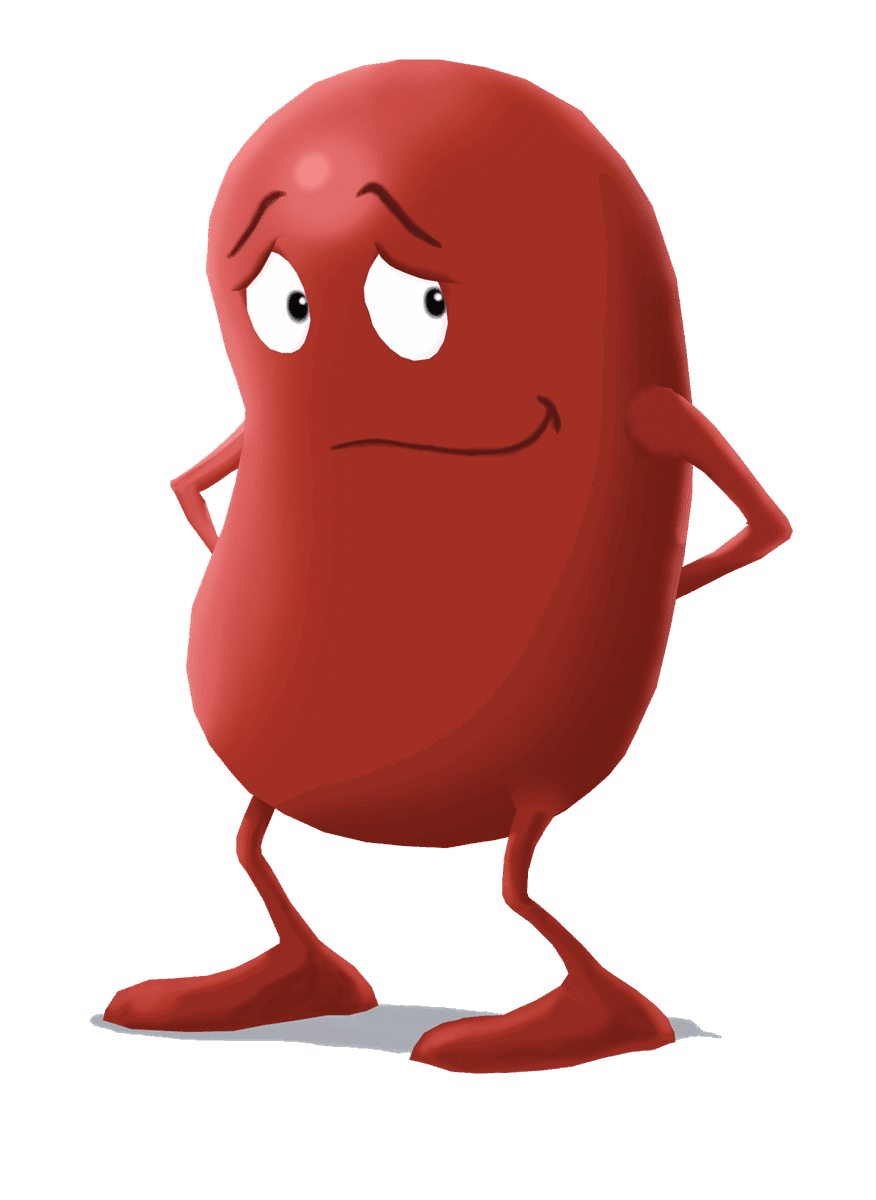 kidney character shy