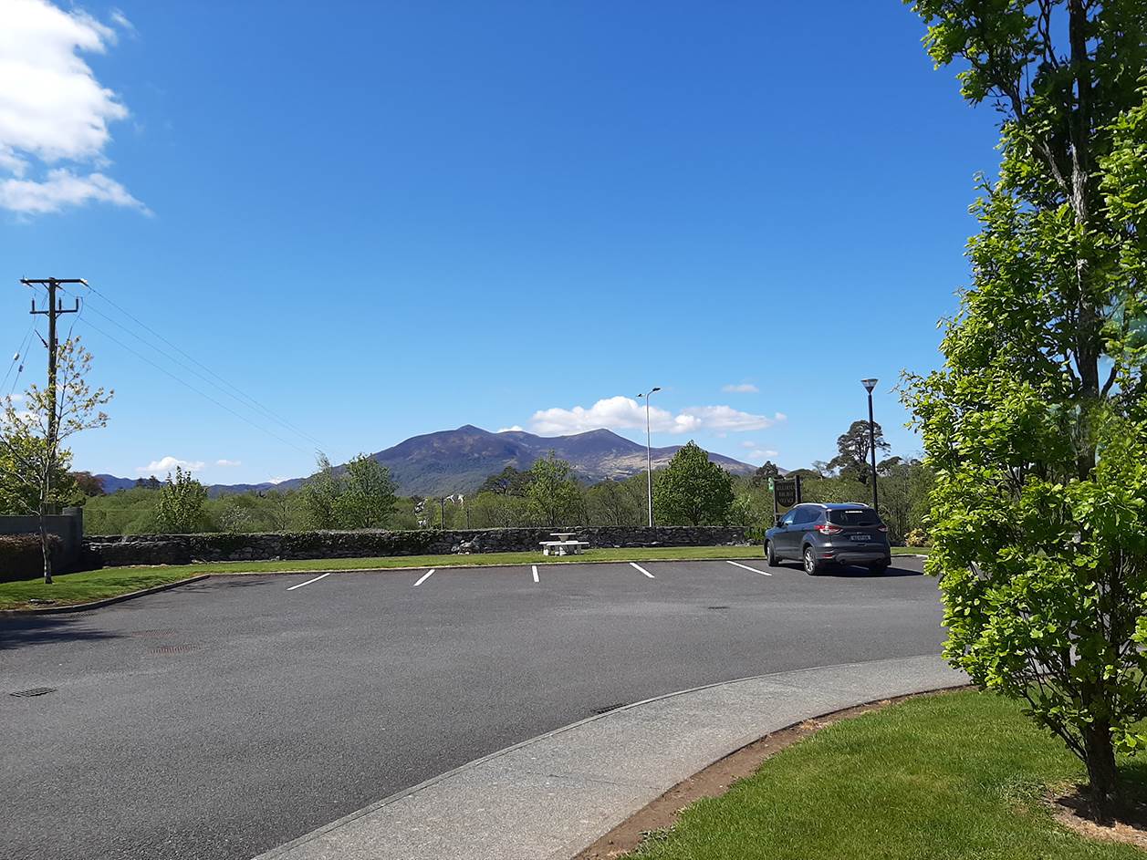 Organ Donor Awareness Week 2025 | Organ Donor Awareness Week | Irish Kidney Association