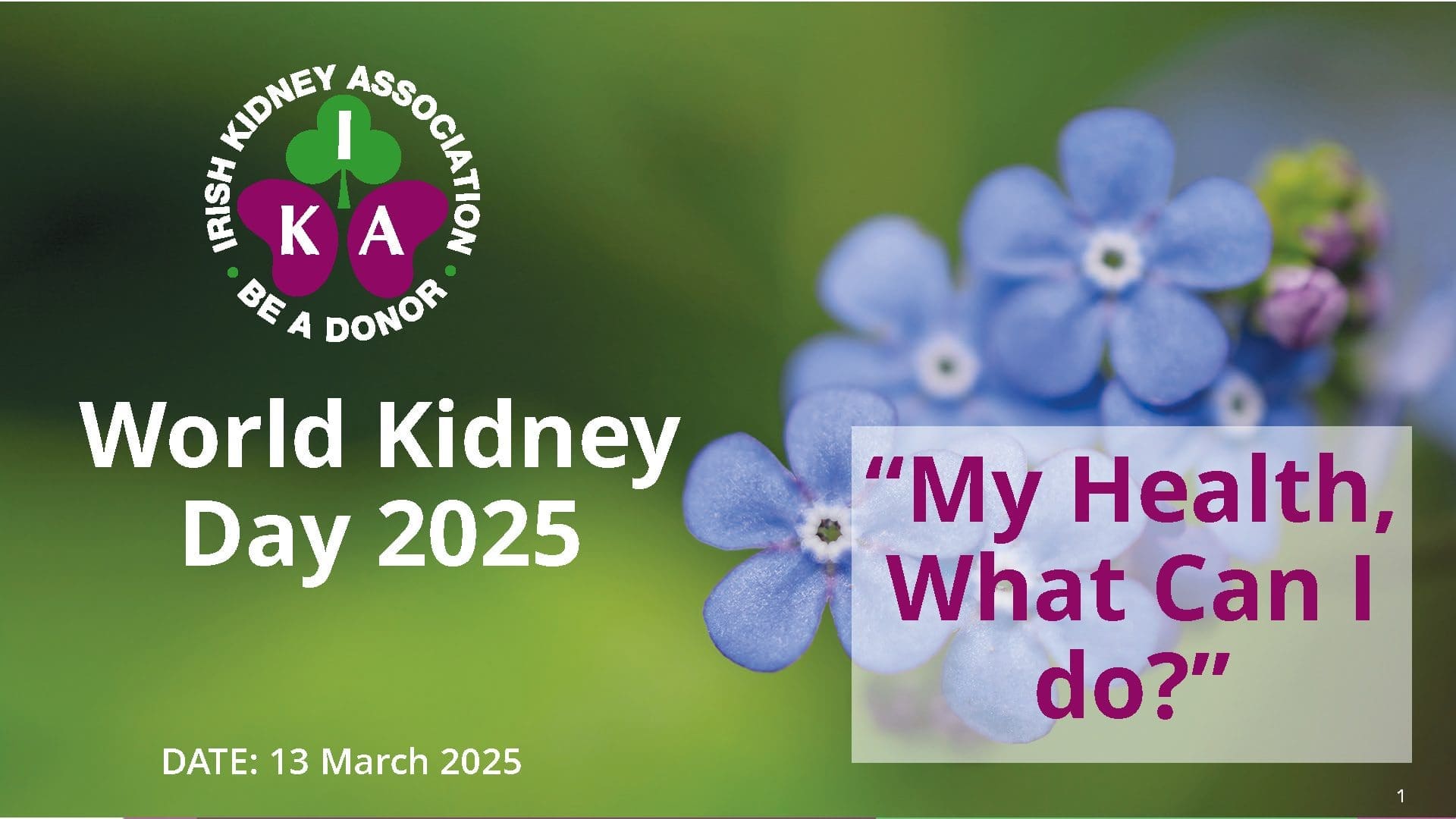 Webinar Presentation