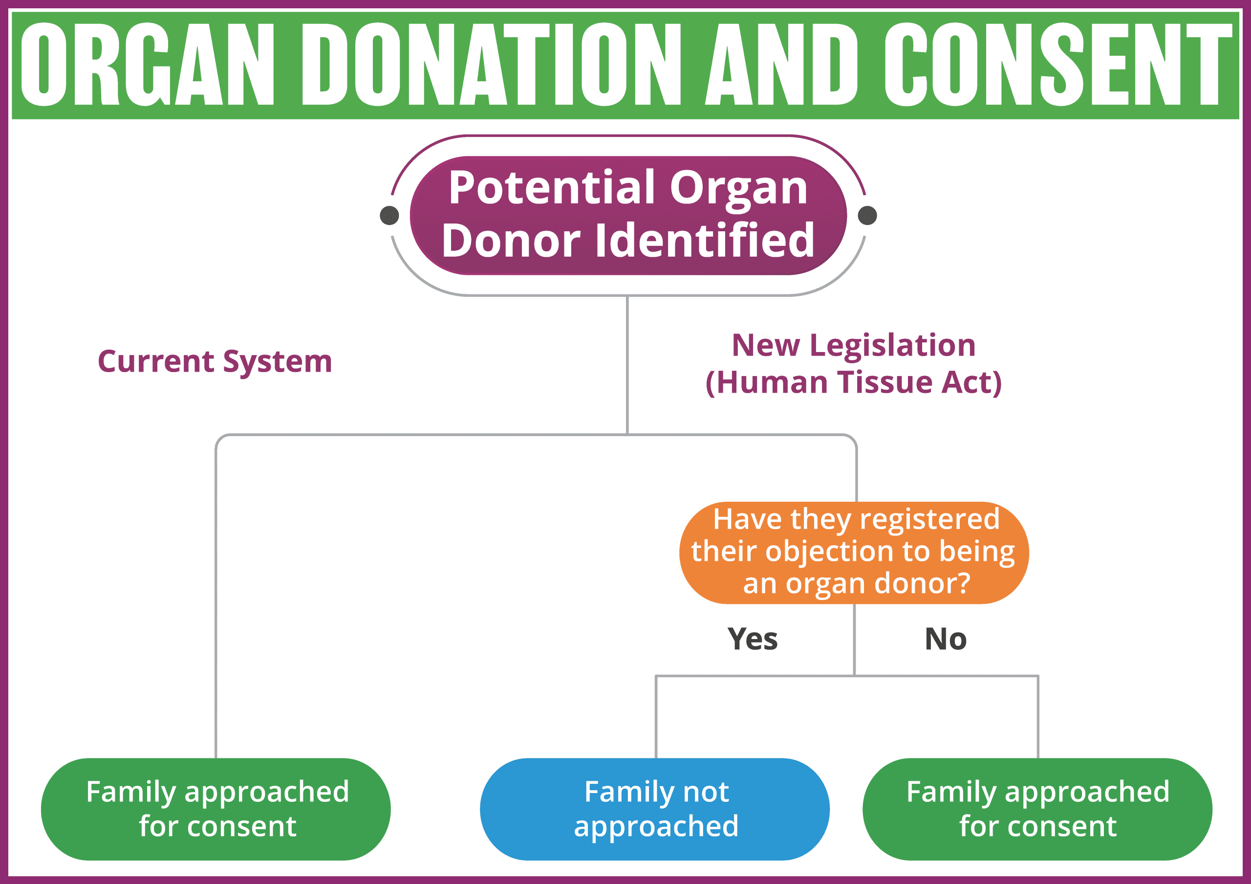 ODAW Leave No Doubt A4 Poster (English) | Organ Donor Awareness Week | Irish Kidney Association