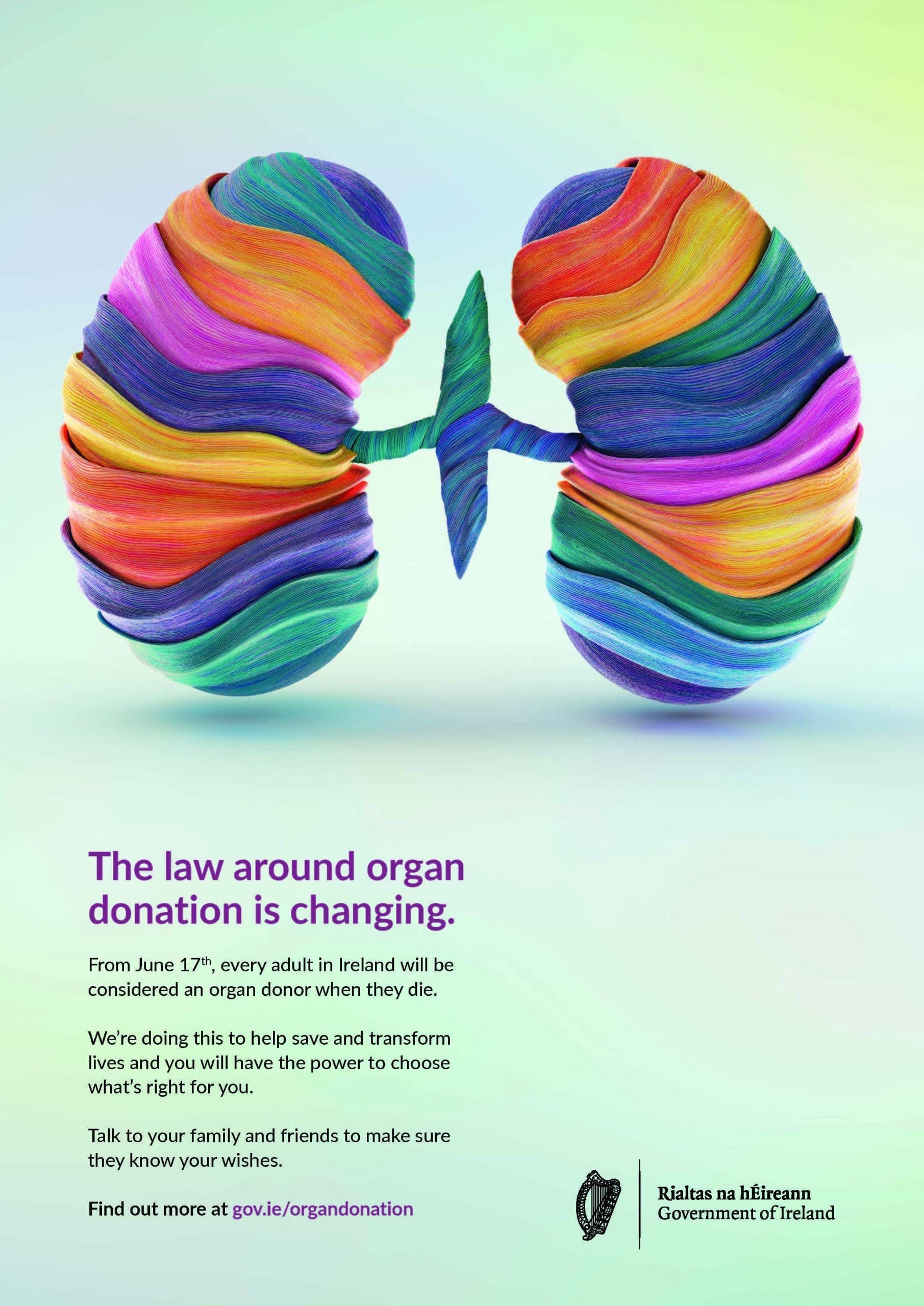 World Kidney Day 2025 | World Kidney Day | Irish Kidney Association