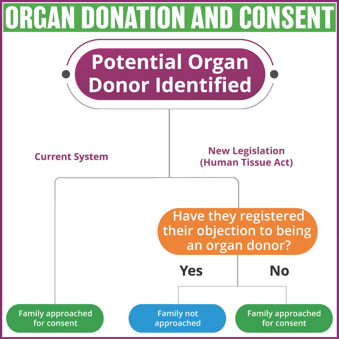 ODAW Leave No Doubt A4 Poster (English) | Organ Donor Awareness Week | Irish Kidney Association