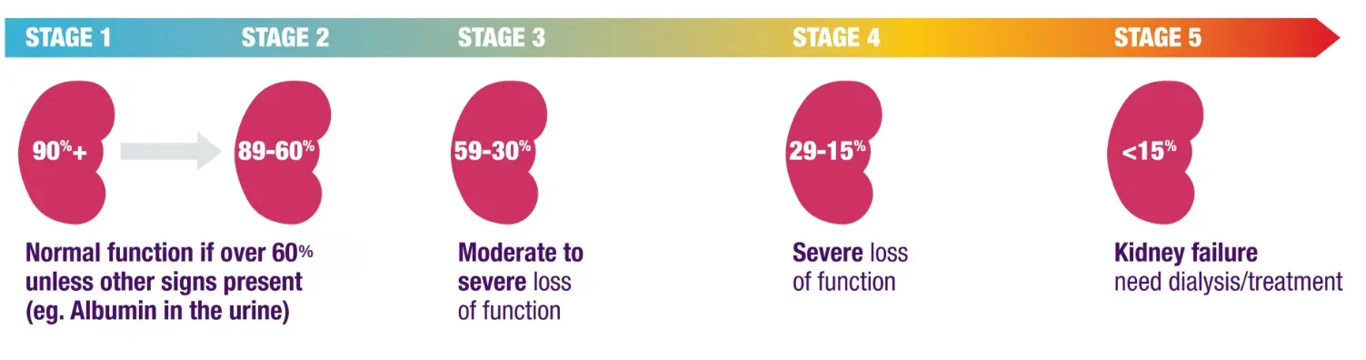 1 in 10 Campaign | Kidney Health | Irish Kidney Association